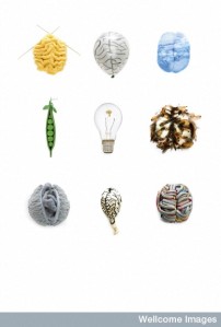 9 artworks depicting the brain (Credit: Sarah Grice) 